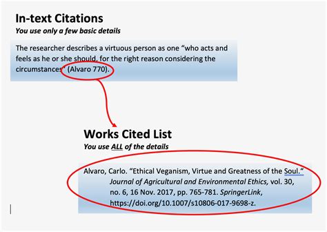 What are citations in an essay, and why do they sometimes feel like a treasure hunt for lost artifacts?